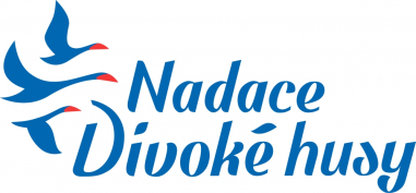 divoke husy logo